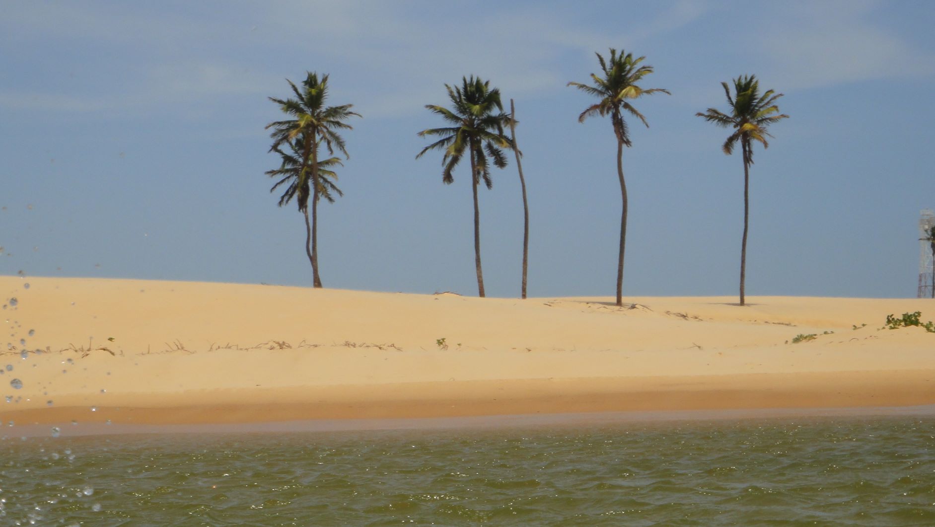 Coqueiros da foz.JPG